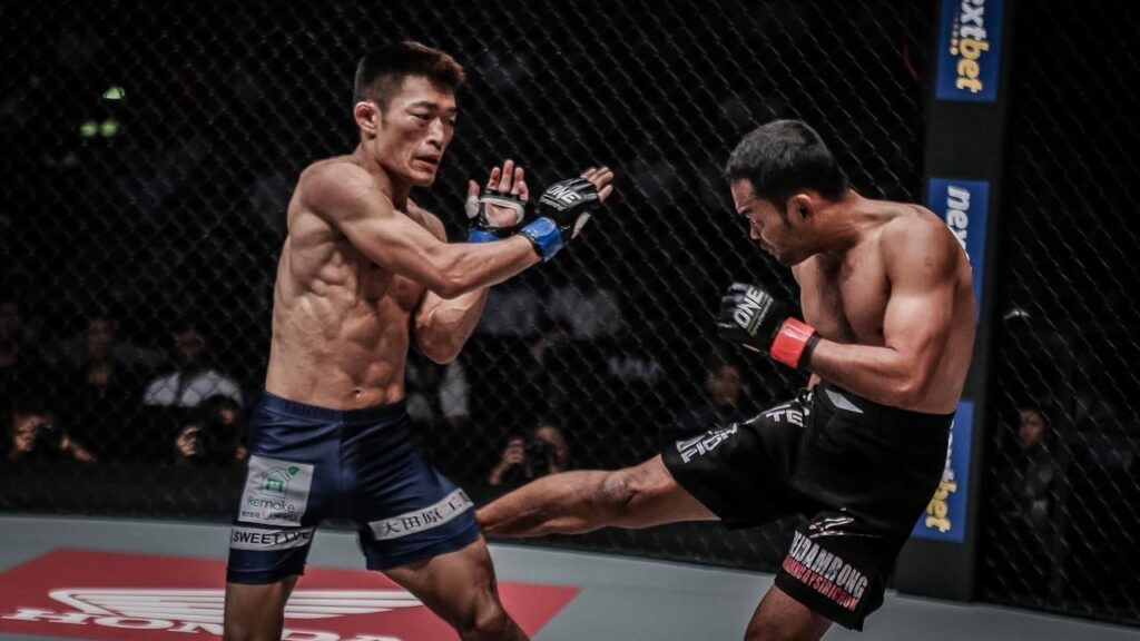 The Beginner’s Guide To Leg Kicks In MMA