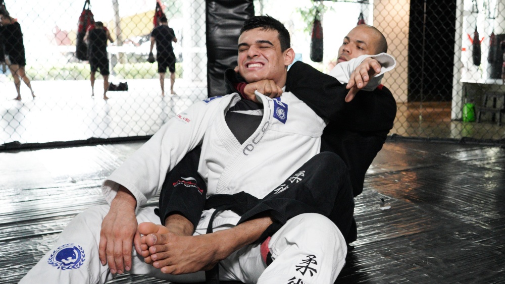 bjj half-nelson